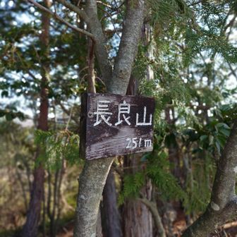 眺望よし ベンチあります✨
