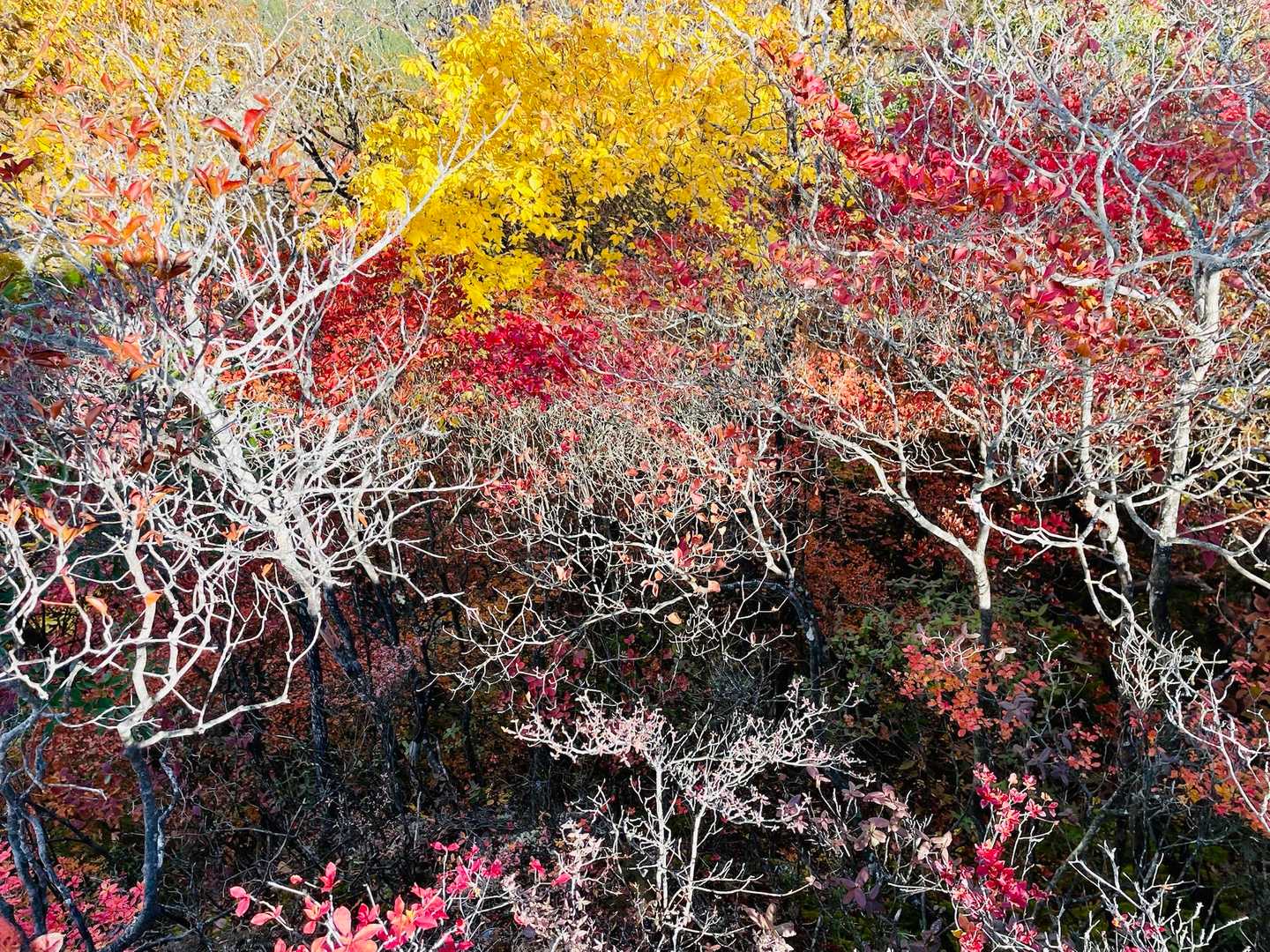 
Wow…
絵画のようです