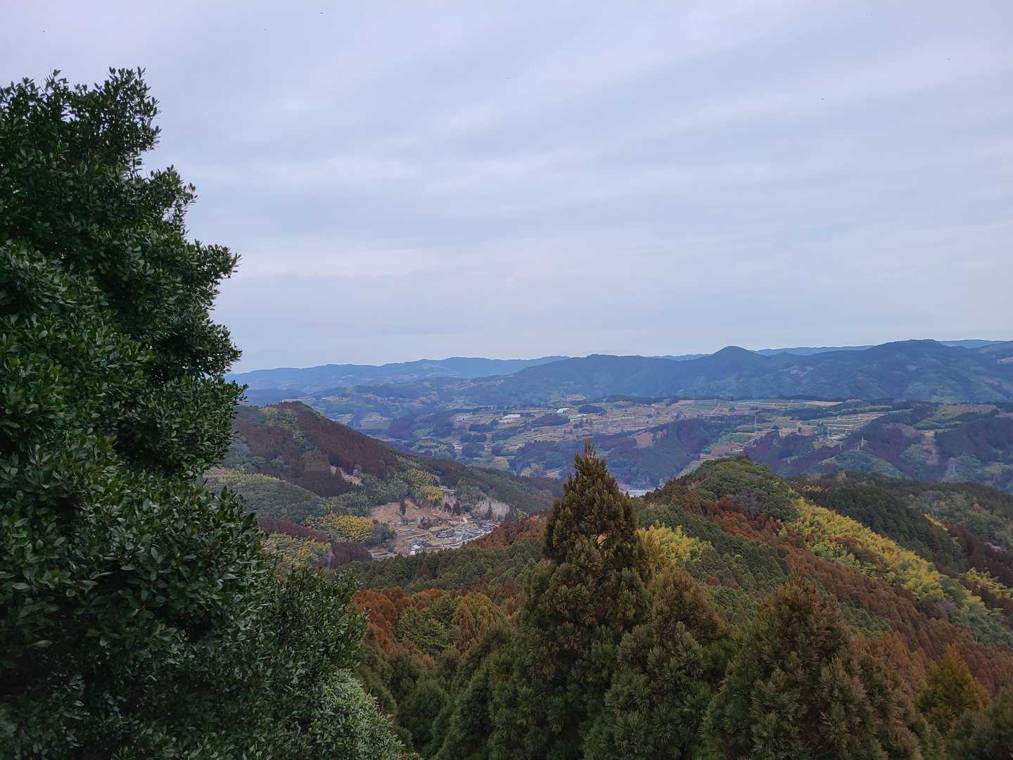 星塚山 周回コースの写真