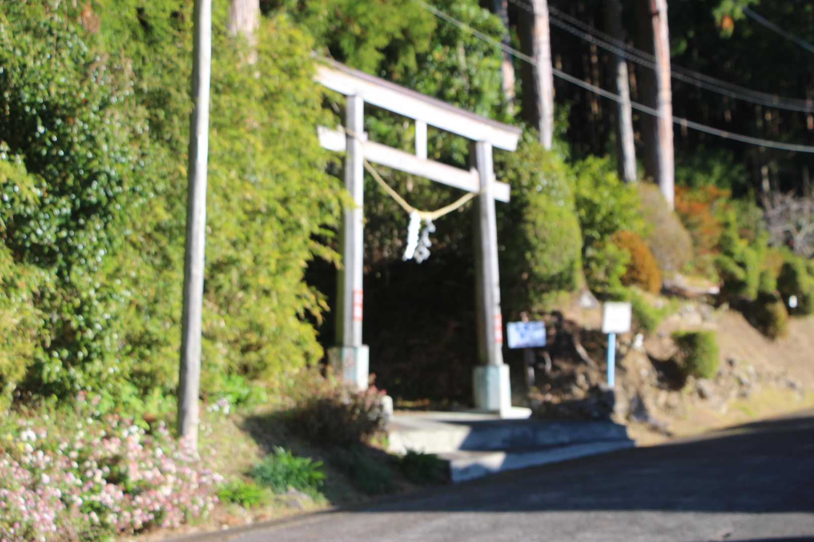 行きますか