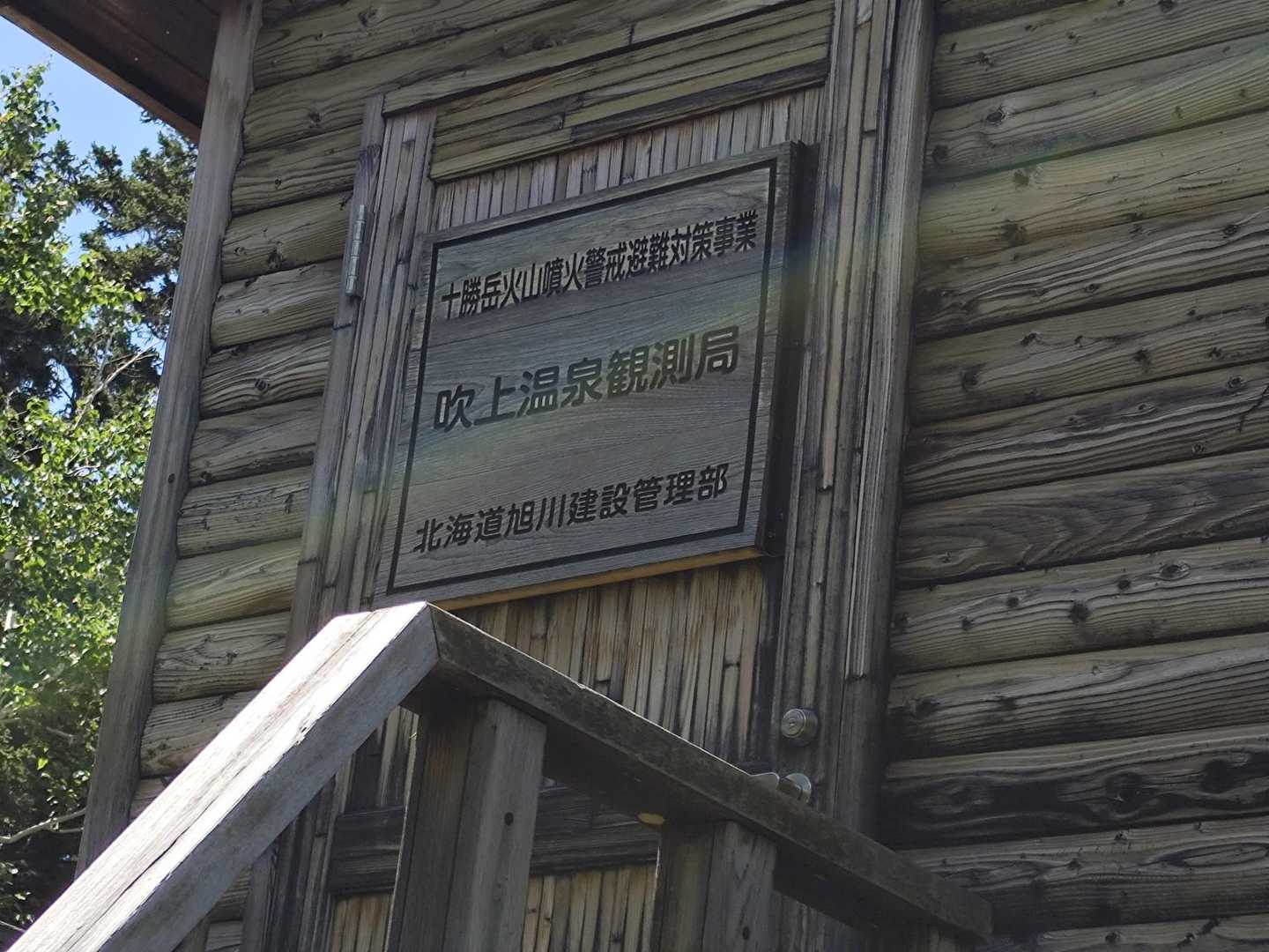 だそうです