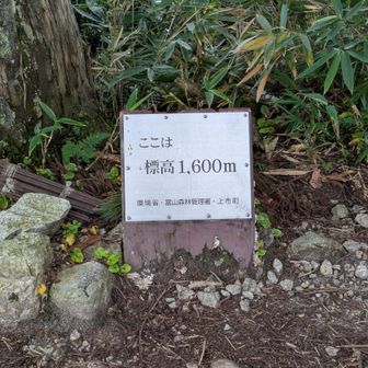 気温低いからいいものの　
暑い日にこの樹林帯は🥵と思う。
今回の山行は水1.5L持参＋小屋で0.5L補給(600円)
あとは小屋の食事で賄えた
小屋は助かります🙏