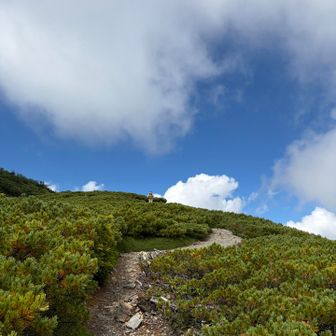 景色って大切
ここから元気出た。
景色のない樹林帯歩きとは全然違う