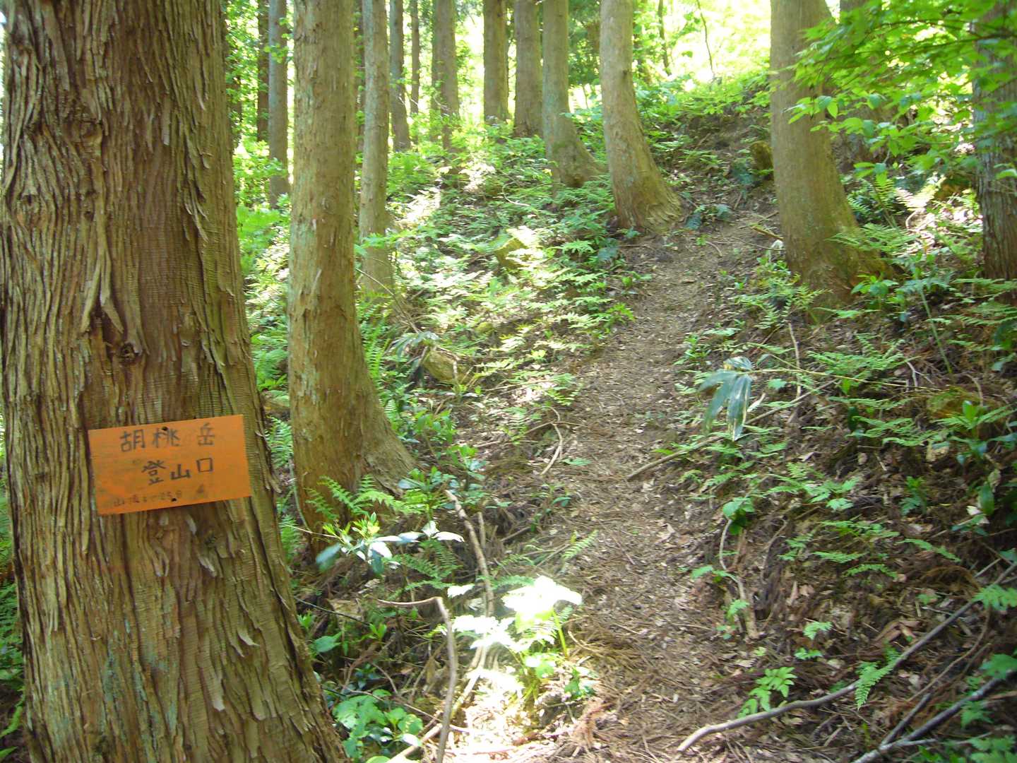 意外と見落とされがちな登山口