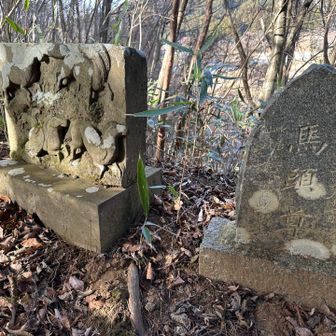 神社裏には、馬頭尊が祀られています。かつて、馬は人とともに働いて、家族の一員でしたね。