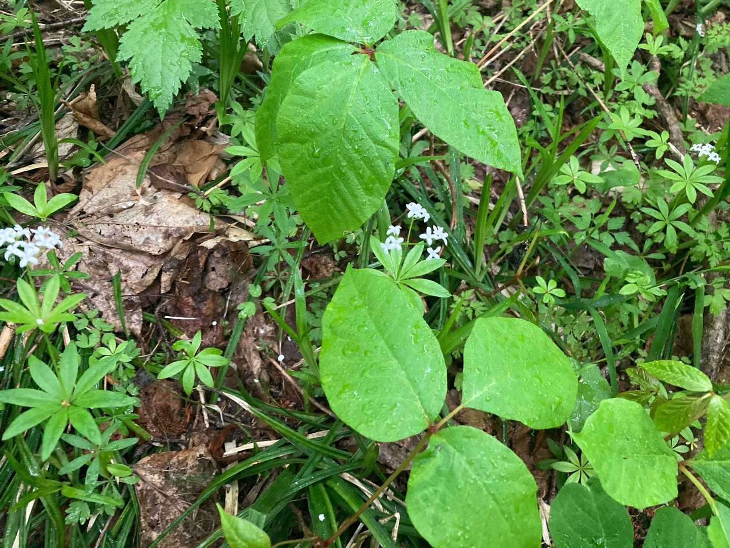 両脇にお花がたくさん