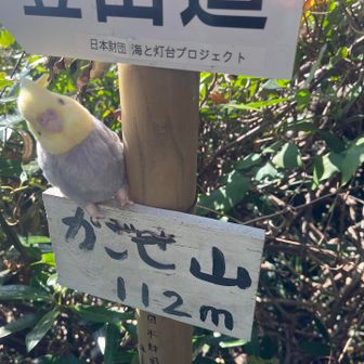 展望スポットのすぐ上が、かごせ山ピーク🙌