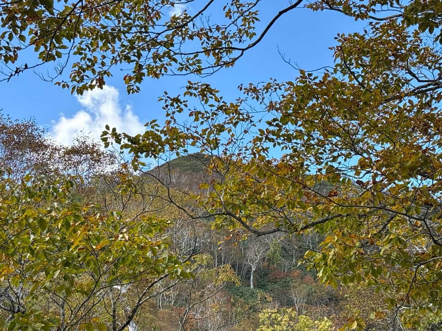 8号目付近で、ようやく頂が