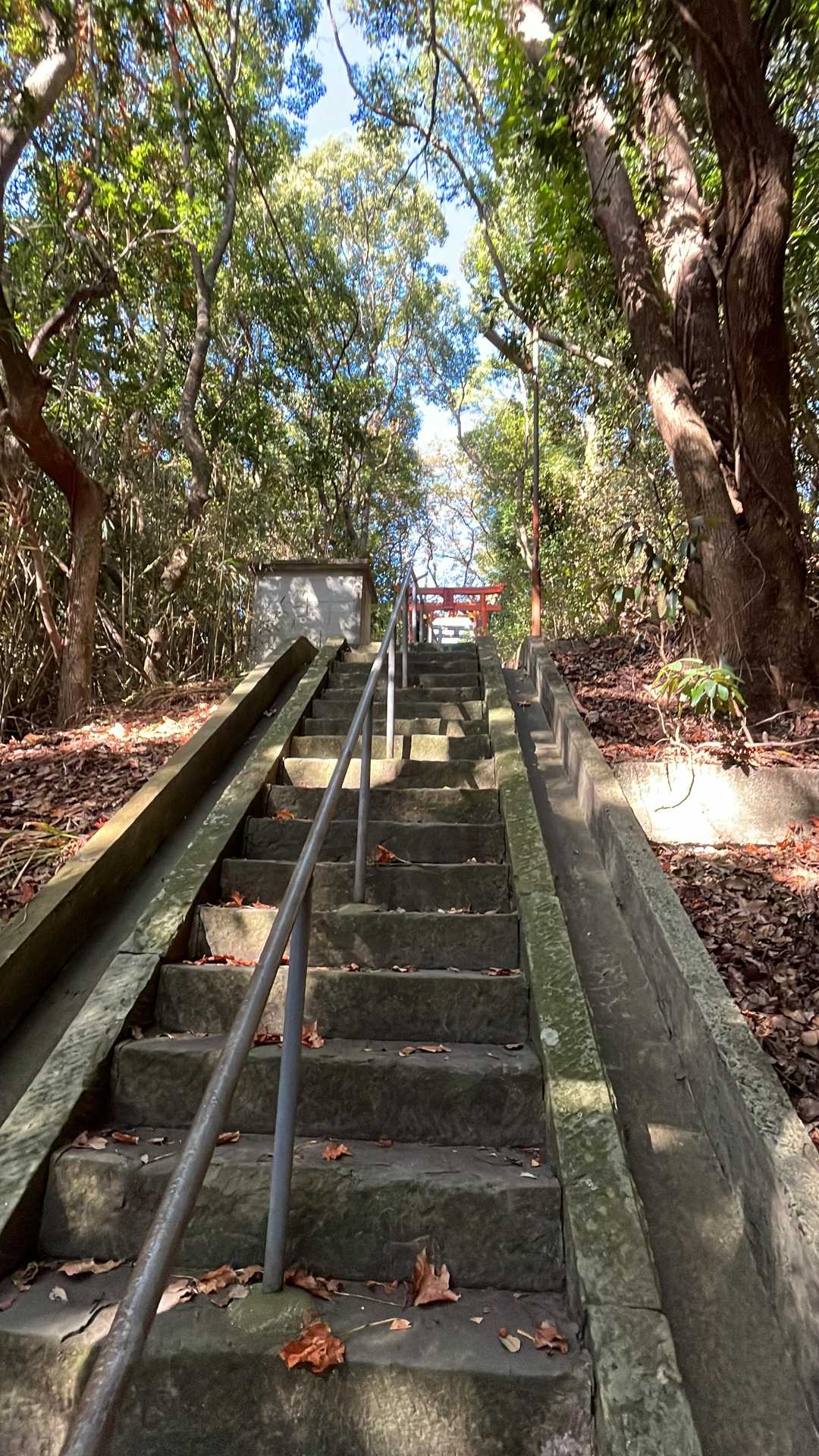 まずは大岳へ