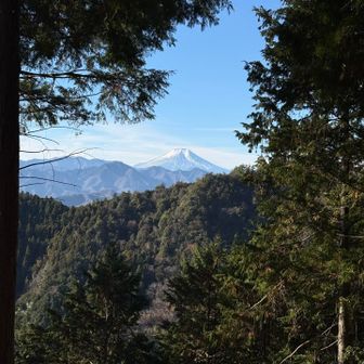 まだ少し距離かある感じですね。
