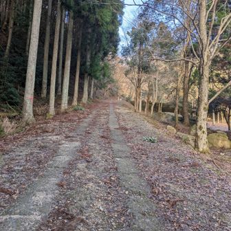 今朝の駐車場は到着時、空きスペースは少なく、8時前には一杯に
駐車場から出たしの道
すっかり雪は無くなってました