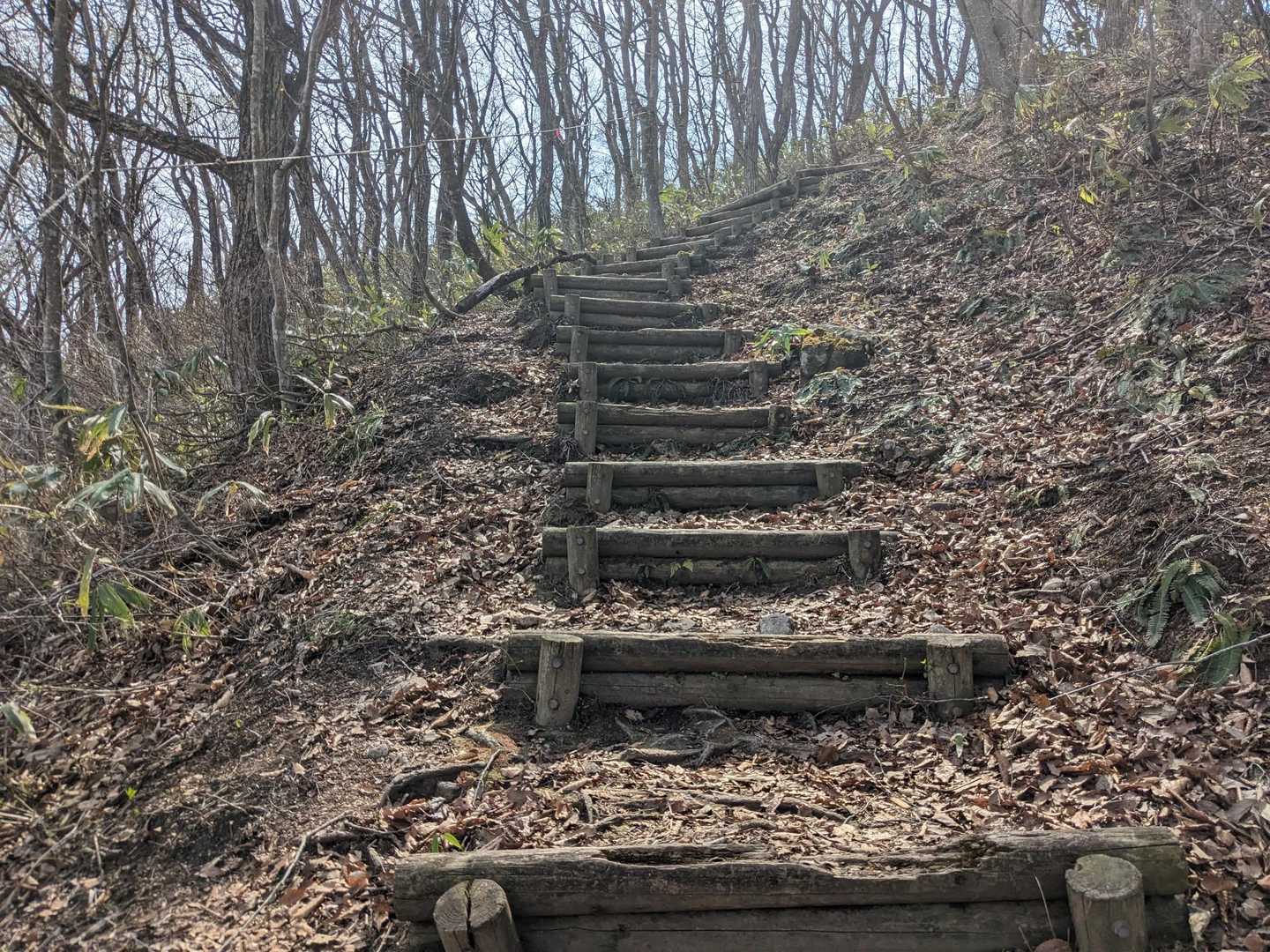 薬莱ガーデン登山口-薬莱神社-薬萊山-薬莱山登山口 縦走コースの写真