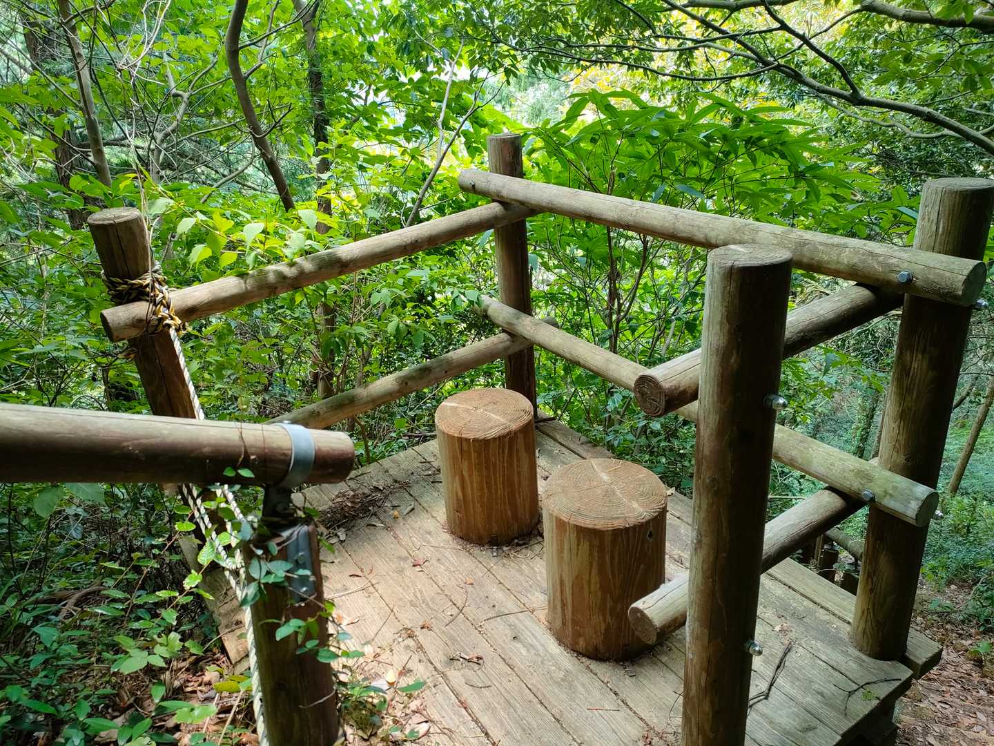 展望ないのに３ヶ所もあります