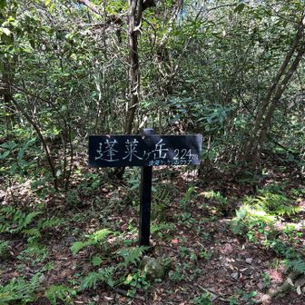 蓬莱ヶ岳