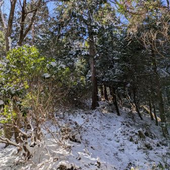 雪道が嬉しい✨️