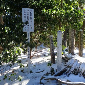 この地が土佐日記の始まりの地からも参拝されていました☺