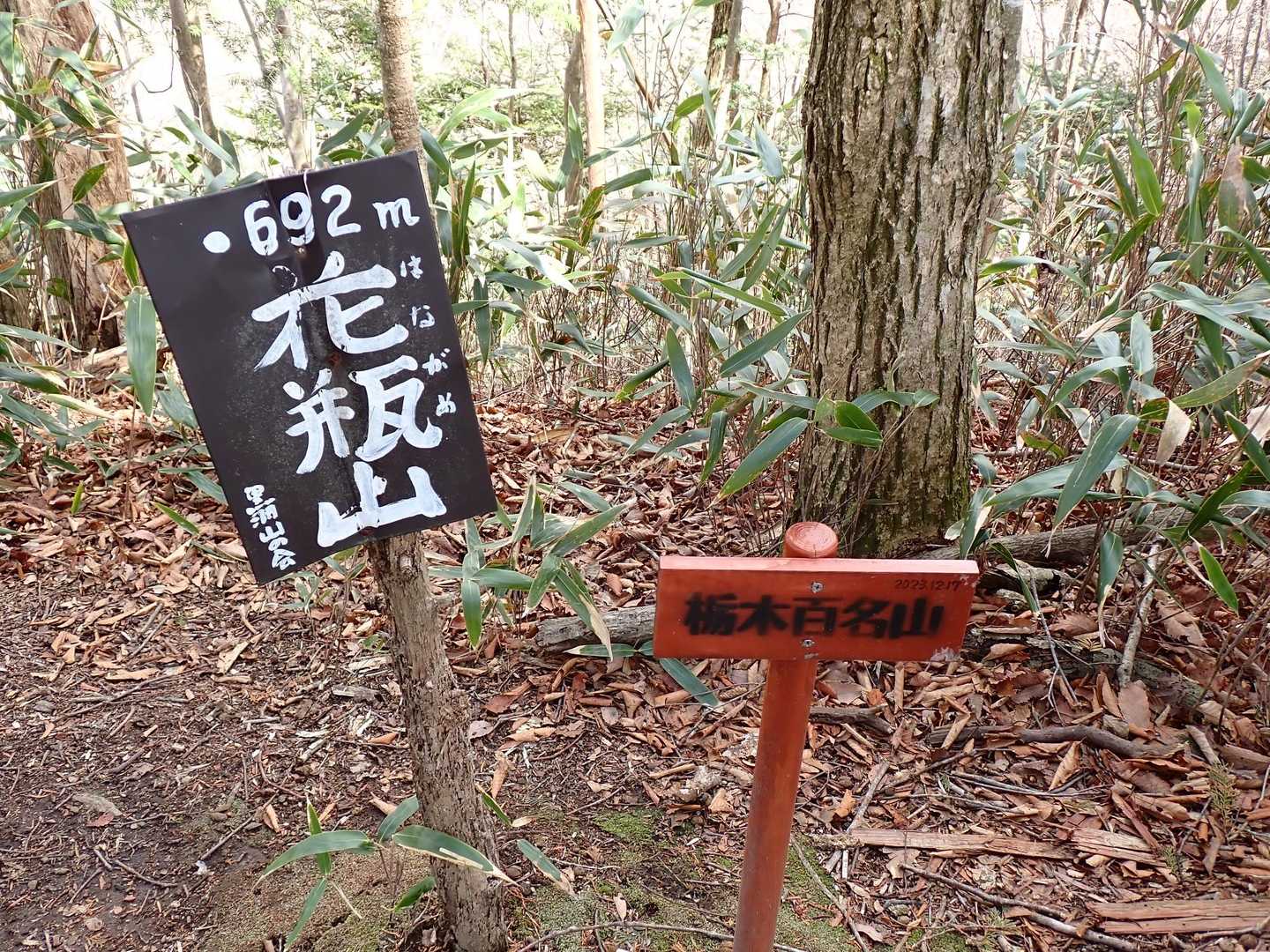 うつぼ沢出合花瓶山登山口-向山-花瓶山-花瓶沢登山口 周回コースの写真