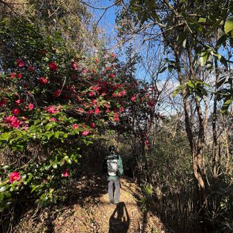 あとから見た時にあそこ通ったんじゃとわかりやすい