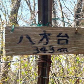 八方台に到着。初沢山と草戸山登山口からここまでまとわりついてくる羽虫が多かった〜腕ブンブン振りながら歩いて足より腕を消耗した感