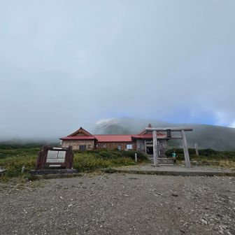帰って来ました。
ガスガスに