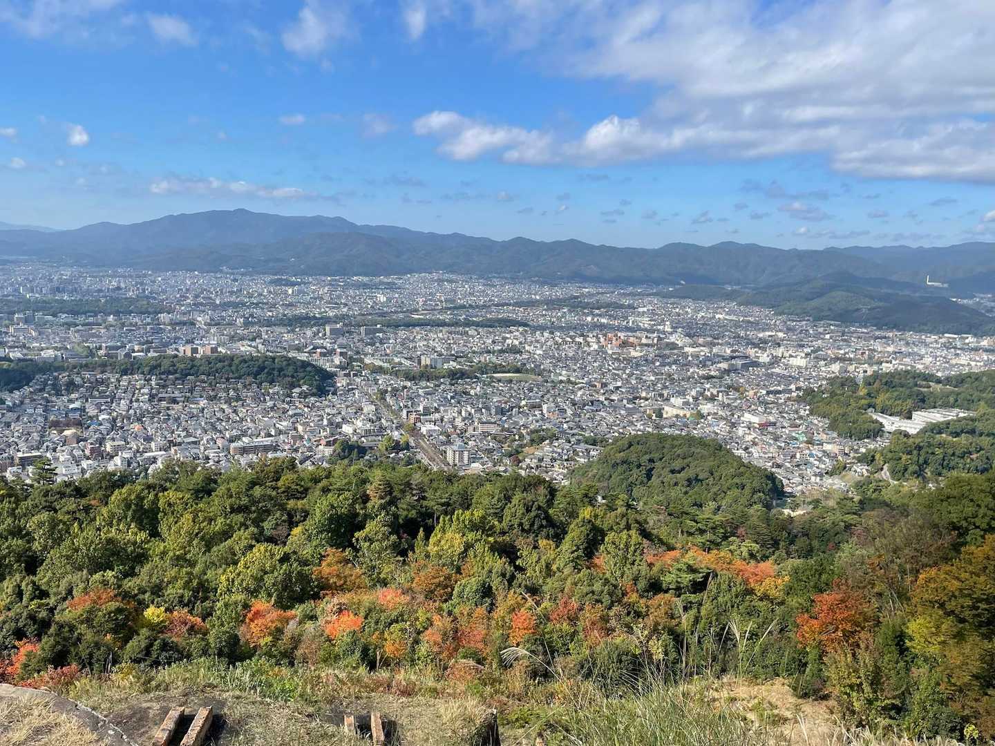 ちょっと紅葉してる🍁