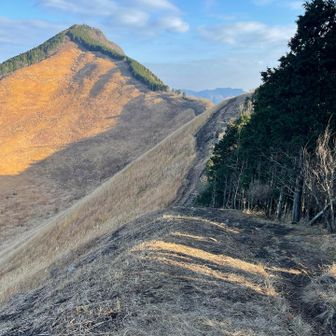 まずは目指すは二本ボソ。