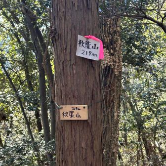 林の中に眺望なしの秋葉山のピークを発見

工場のまわり周回ルートで無事下山となりました