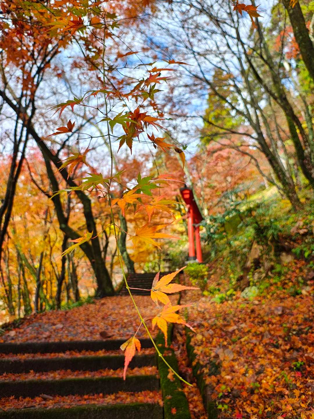南三里山 往復コースの写真