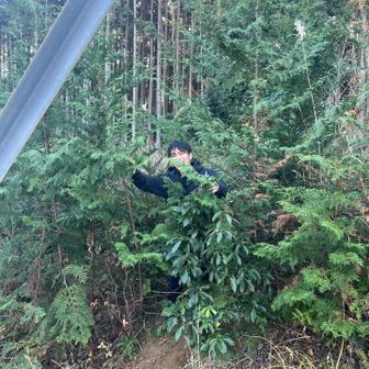 そして、こーんな低山らしいところを通り、

（遭難はしてませんから 笑）