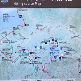 げざーん。お疲れ様でした！