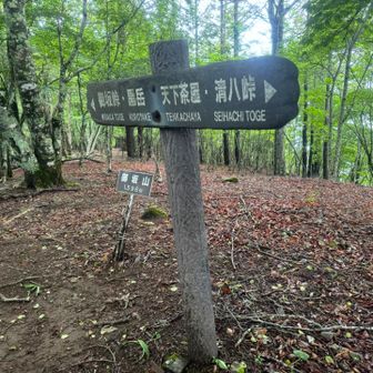 御坂峠