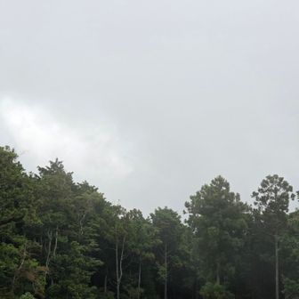 当然ながら富士山方面も真っ白🌫️

明日は山友さんが富士登山をするそうで、こんな空模様では残念😞
ってことで雲を吹き飛ばしてあげるために口をすぼめてフーーーっと息を吹いたところ🌬🌫️