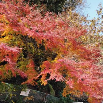 滝上有料駐車場