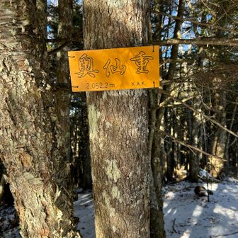 奥仙重に登頂🏔️