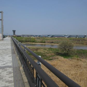 木津川を渡ります