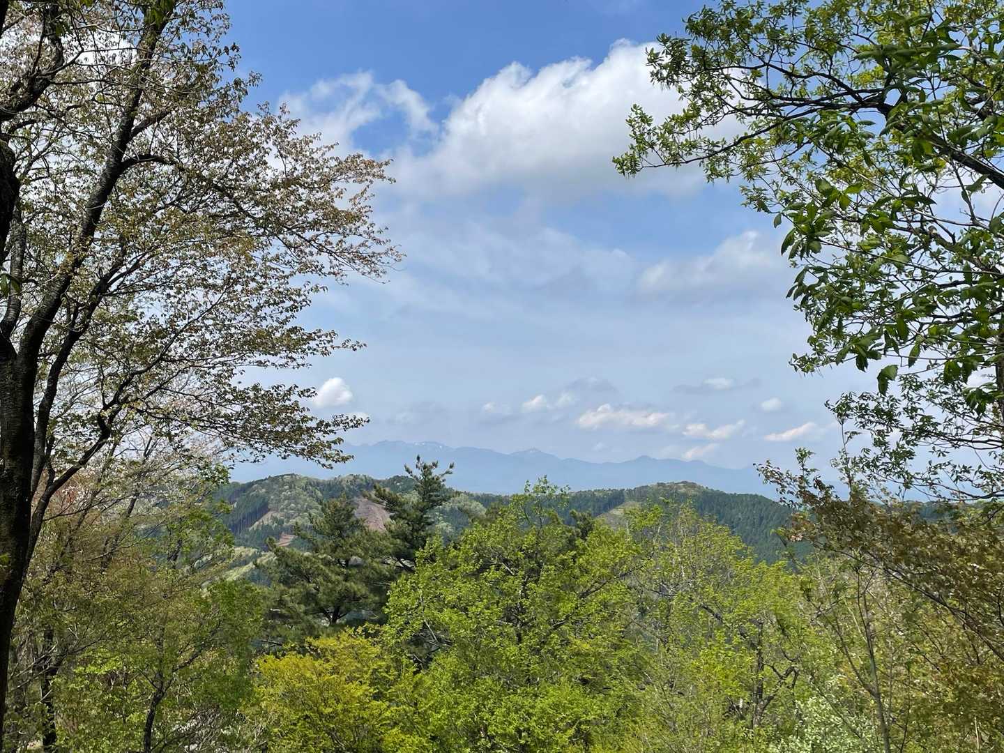 山頂から