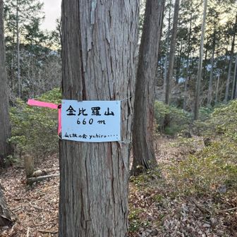 最後のピーク、金比羅山