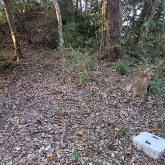 小ピークを振り返って。