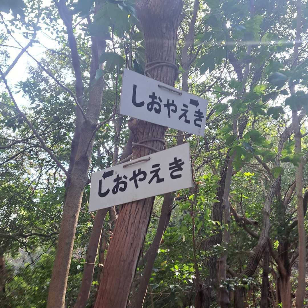 しおやえき×2
