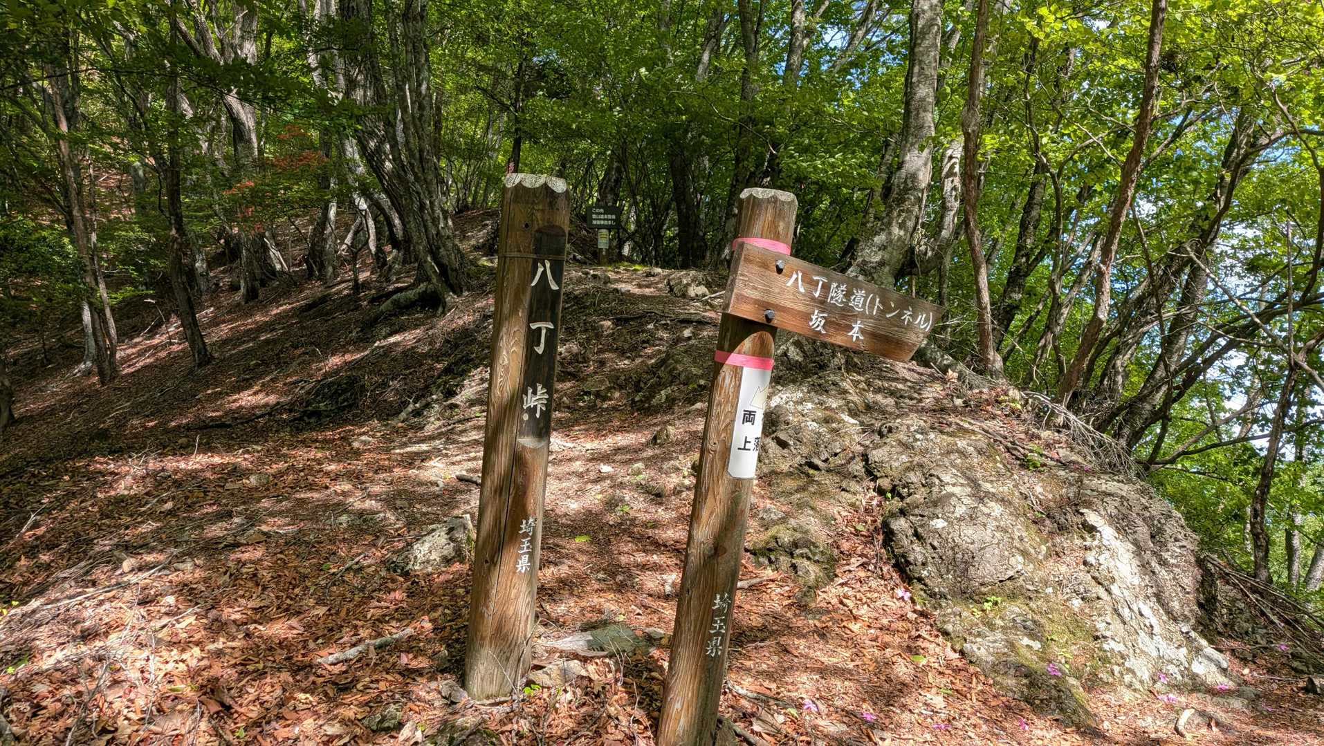 八丁峠に到着♪
ひと休みして行きましょう(^^)