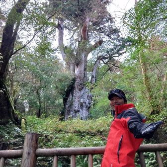 ご褒美観光気分