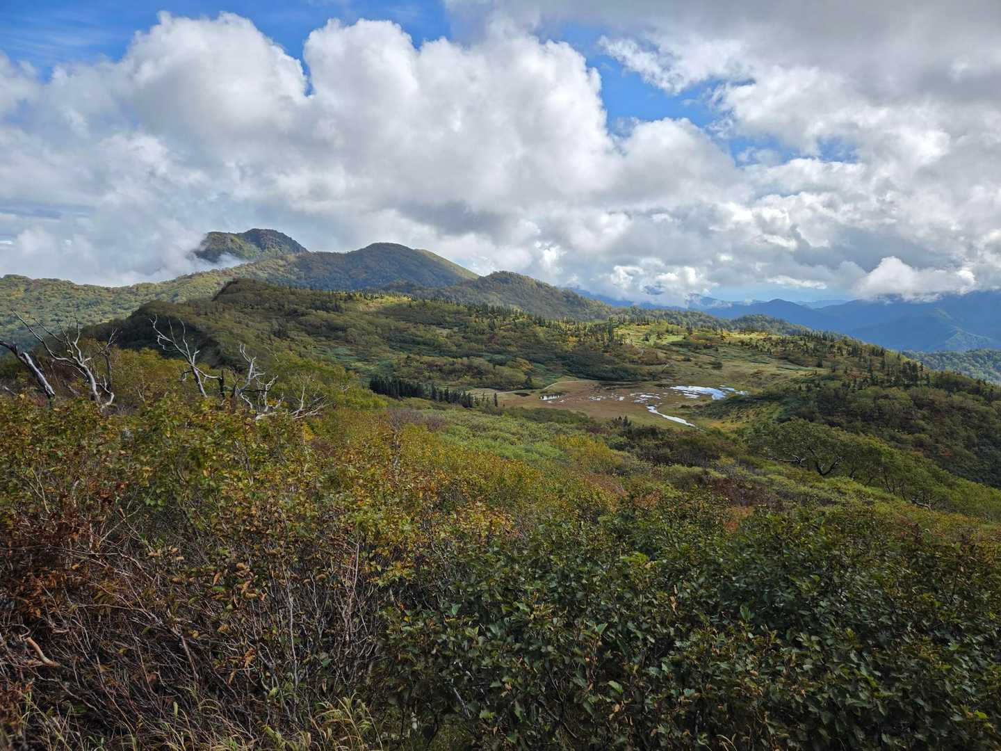 火打山 往復コース | 天狗の庭の湿原と花、CNNも選んだ「天上の楽園」への道の写真