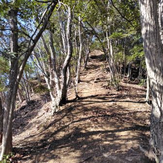 鶴島金剛山に向います