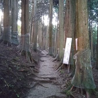 道はまぁウェットな感じ💦