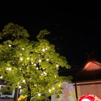 ここでツアーは解散