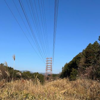 良いお天気になりました🩵
道中🚙亀岡はお馴染み真っ白の霧☁️山間部は霜が降りてました❄️