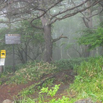 観音平登山口より入山〜