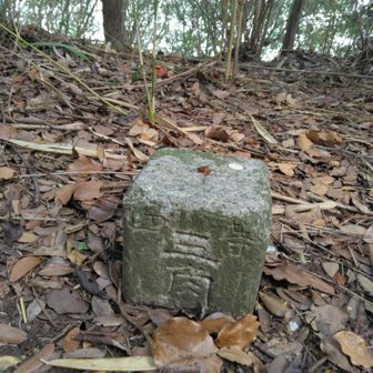 展望所横に(展望所から分かれ道の右側を進んで直ぐ)
🔺四等三角点　232.4m
(前にもっと離れた所にあったと鼬いたちさんに書いてしまった🙏)
