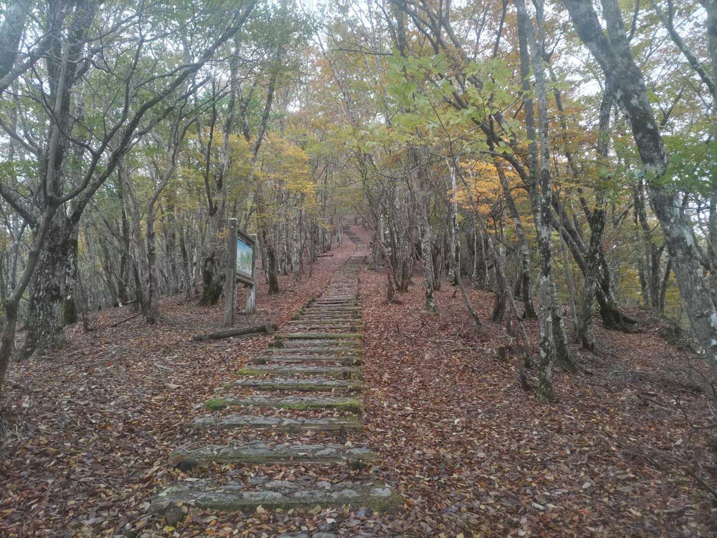 寒い寒いと言いながら…
山を舐めてた😂