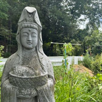 へら鮒観世音